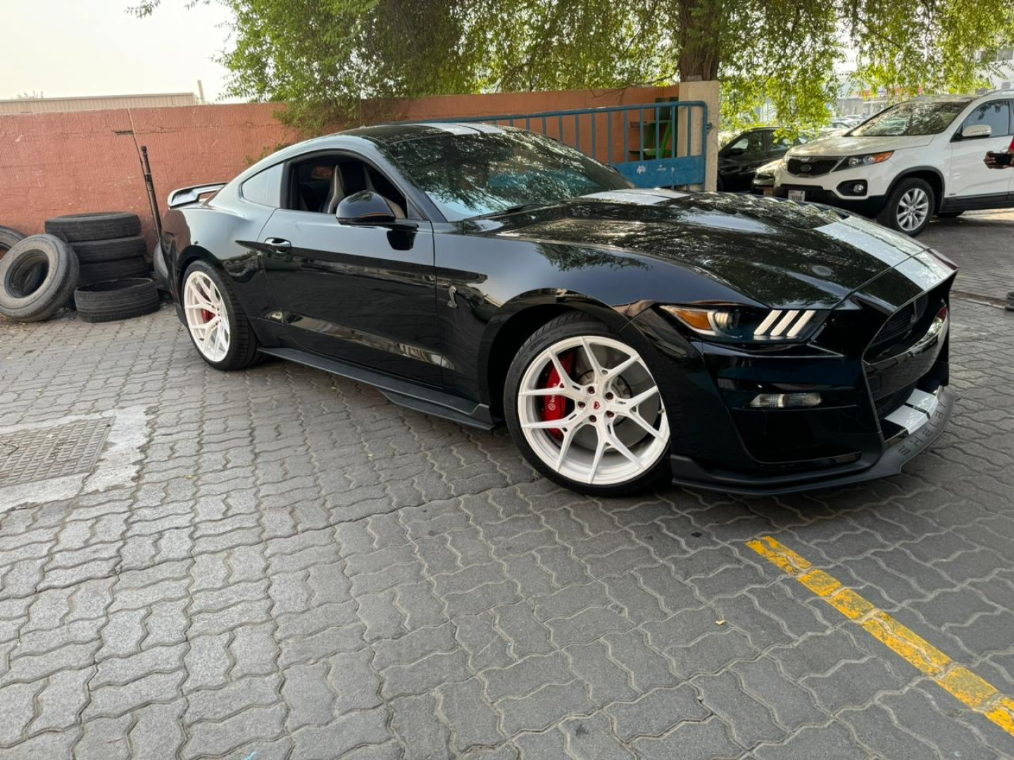 2022 FORD SHELBY
