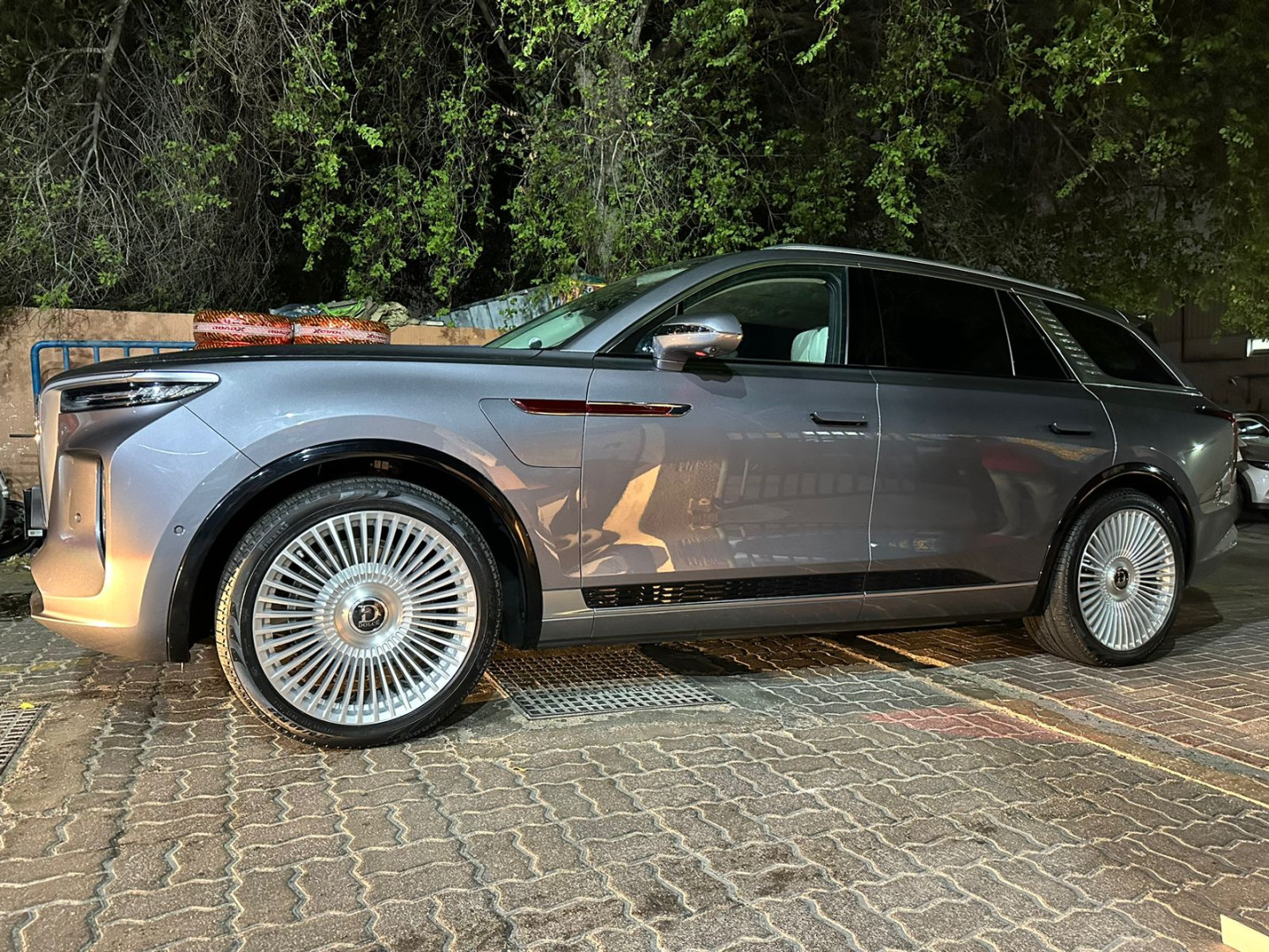 2023 HONGQI E-HS9 gallery image 2
