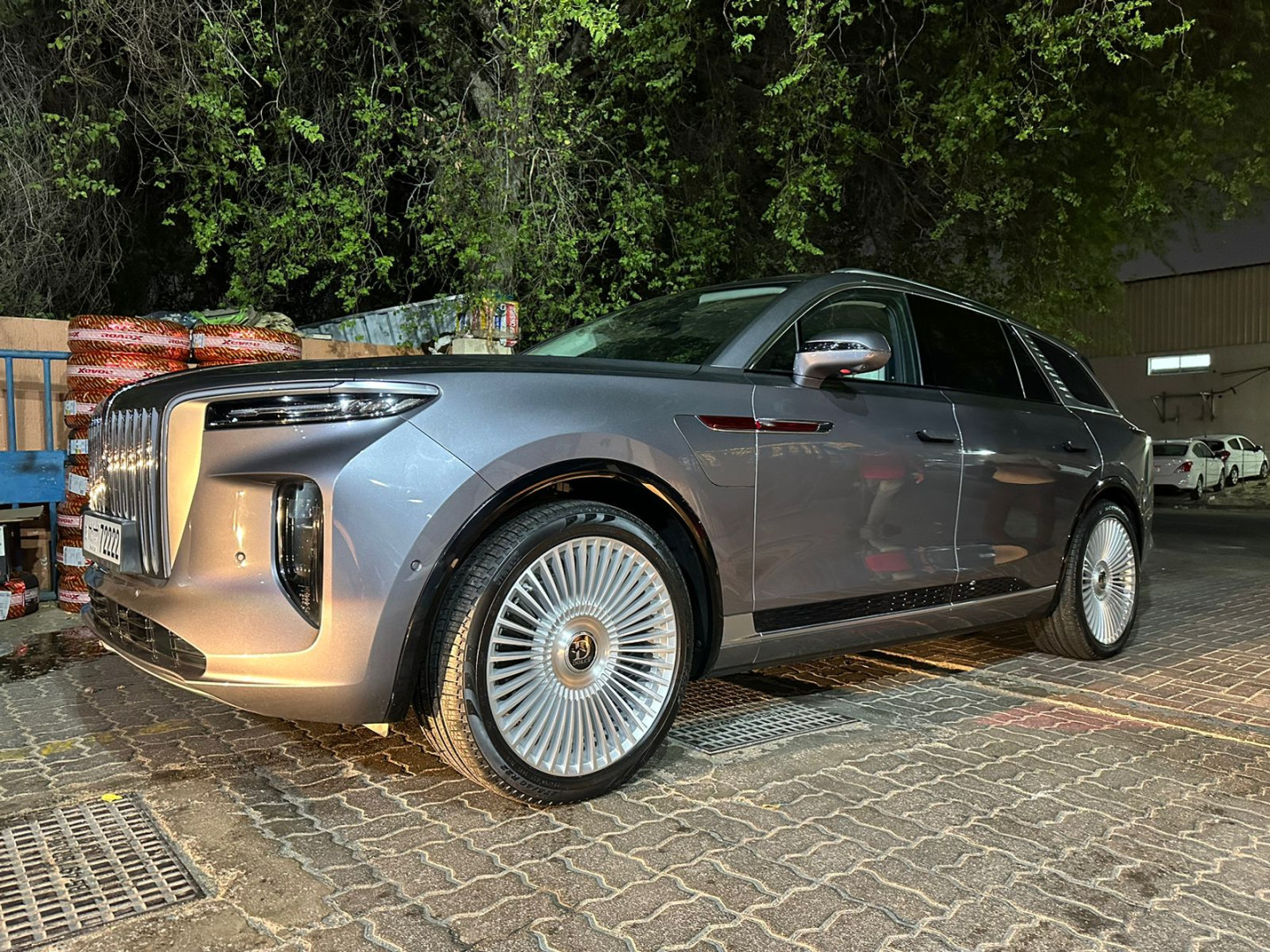 2023 HONGQI E-HS9