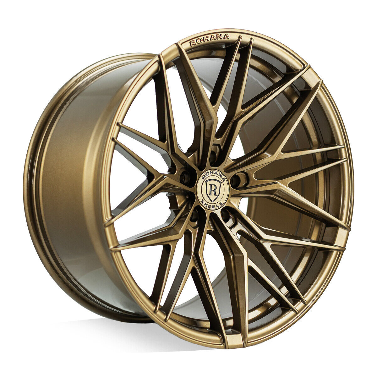 RFX11