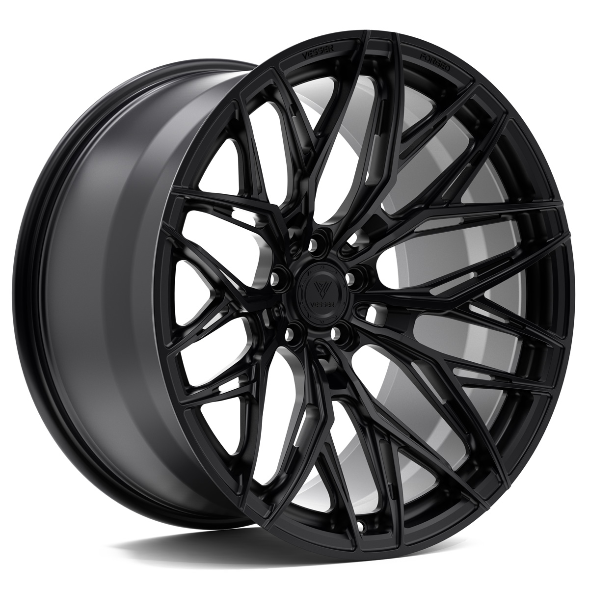 VSR1