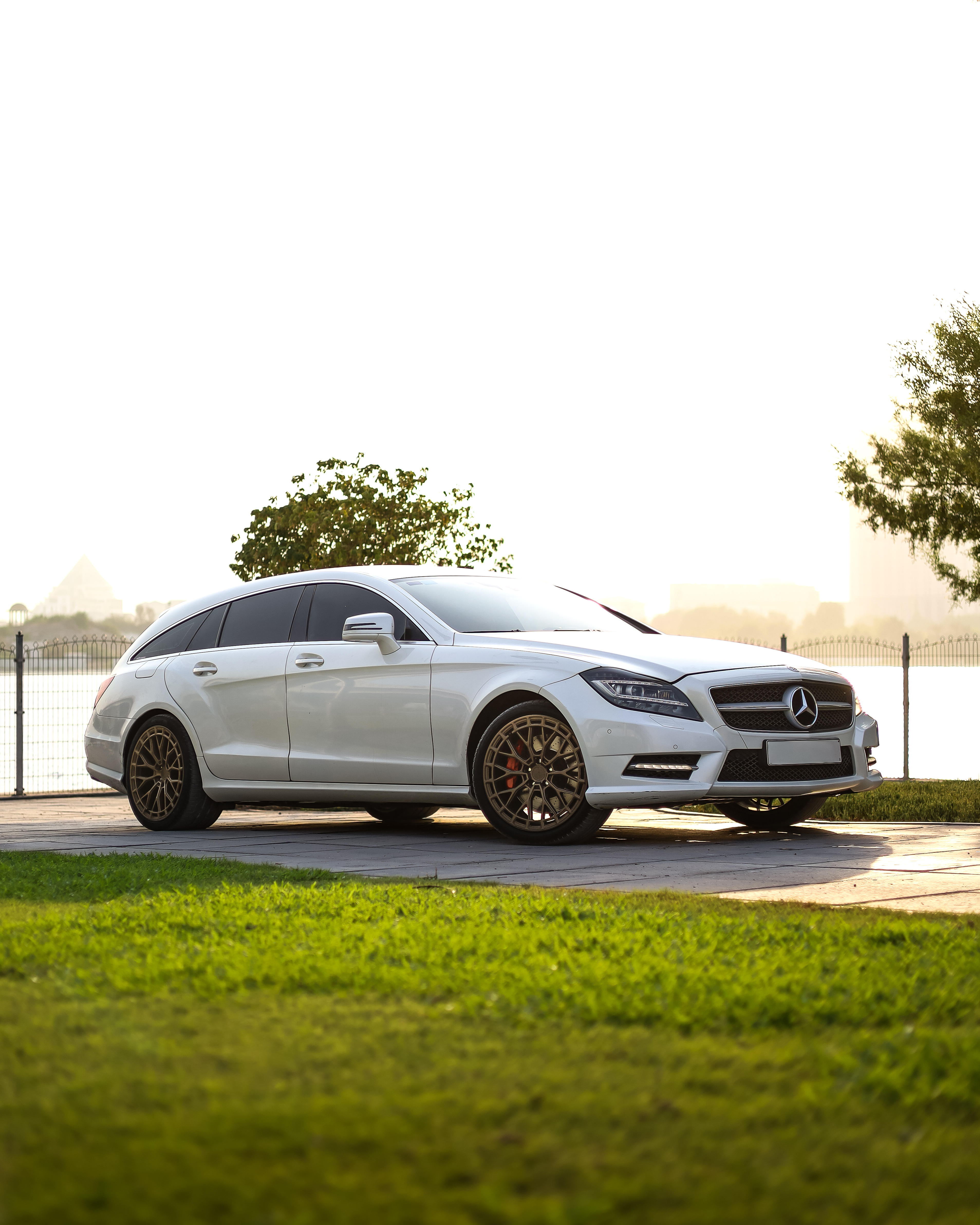 2013 MERCEDES BENZ CLS CLASS \ AMG CLASS