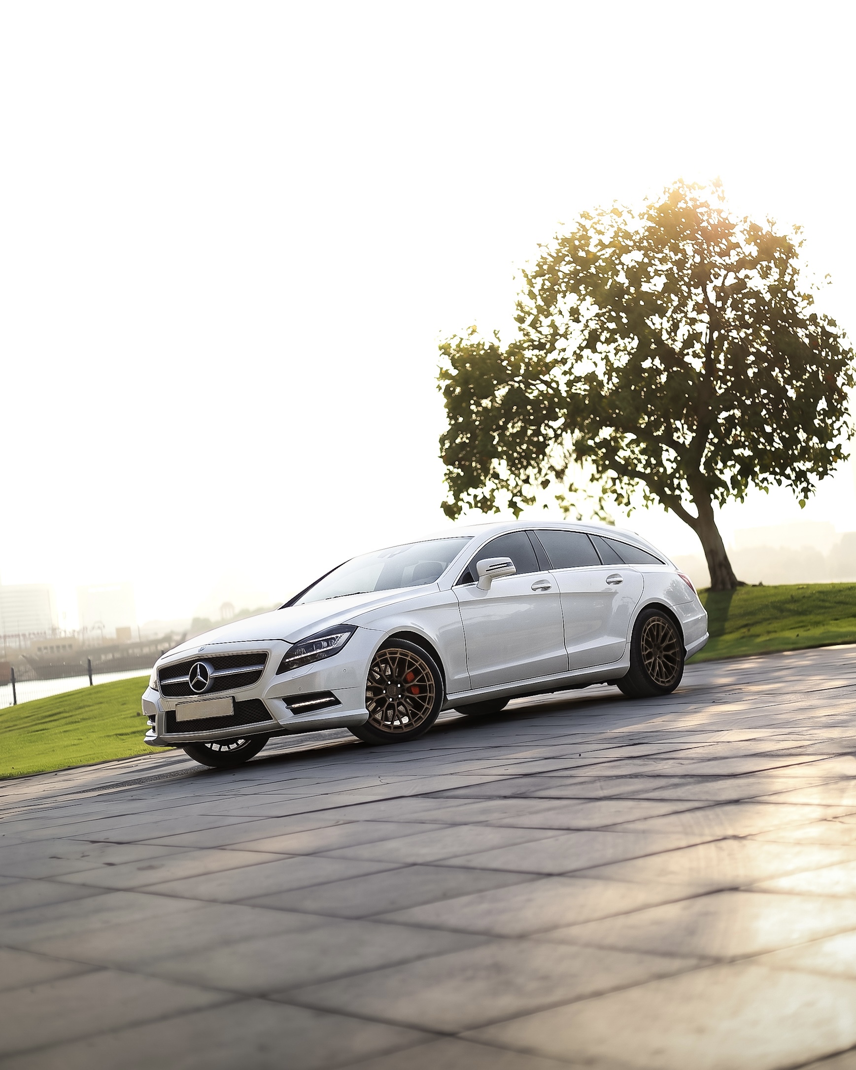 2013 MERCEDES BENZ CLS CLASS \ AMG CLASS gallery image 8